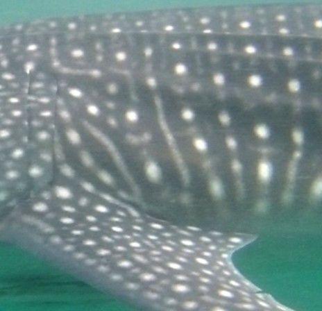 8dfb3102-67f6-4b95-b4e5-bfa0321219e0