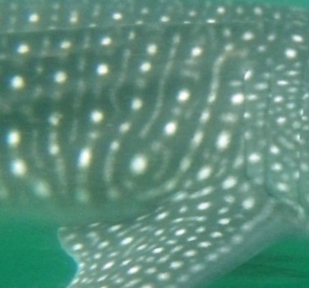 8dfb3102-67f6-4b95-b4e5-bfa0321219e0