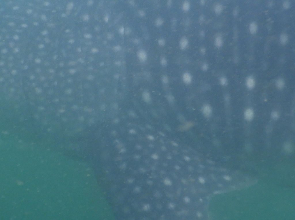 83e74877-ebec-44b6-b267-e2ccbdf69b93