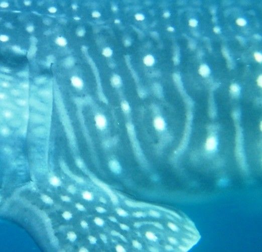 8598669b-b827-4aba-a8cb-593ebcbe19dd