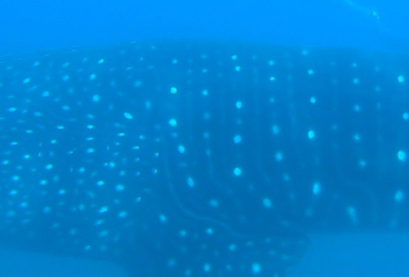 f1cb8c5c-4be9-4d4a-a54b-4f73892de62f