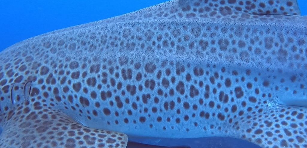 3a0e97f2-2667-4067-9dc1-cffe2746ef29