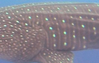 ecce60c6-9396-416d-98fb-4c42ce6b4124