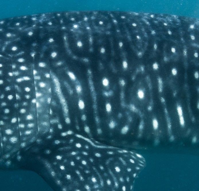 9c39cc9e-7e48-44c9-bbf6-661769628d30