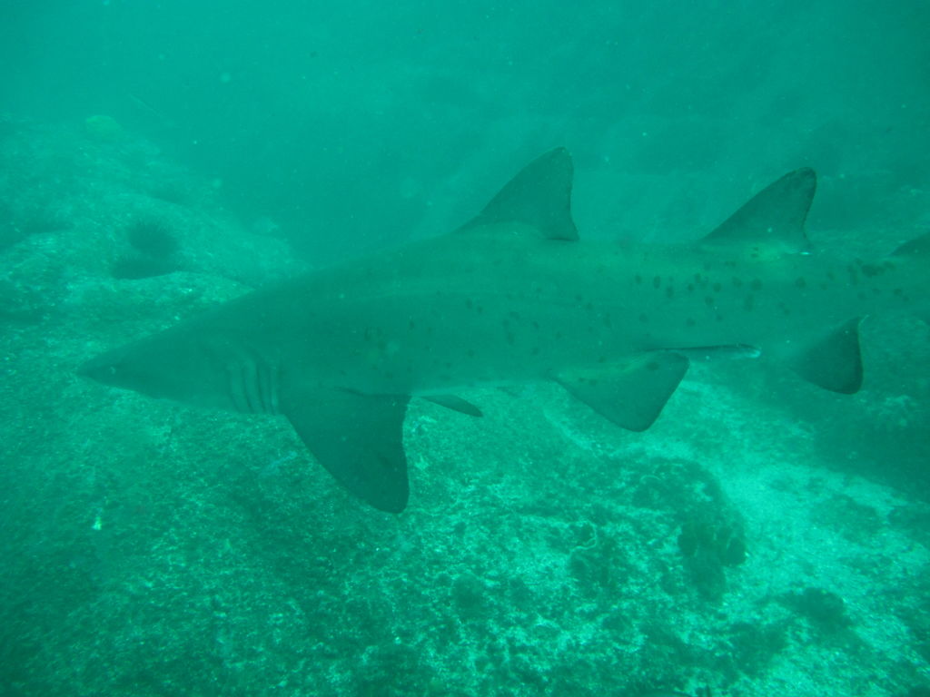 4ab16519-7bd8-4418-bb37-c81bbb5bb222