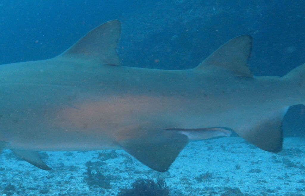 18102fec-d9a3-438f-8bb8-abdf996a38f9