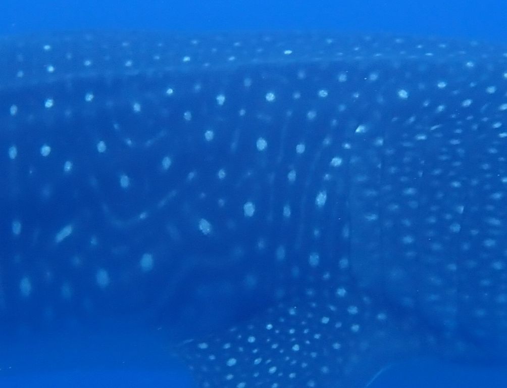 b37189f2-f0a4-48e5-9d24-50074a772839