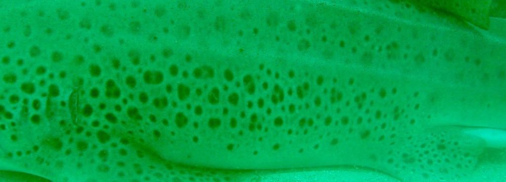 6a71fbbb-cbf2-40b8-bbe6-fd77d2197e6b