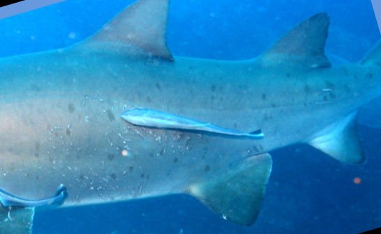 bfb2ddd9-6053-4508-bd4e-d10f095ec6d3