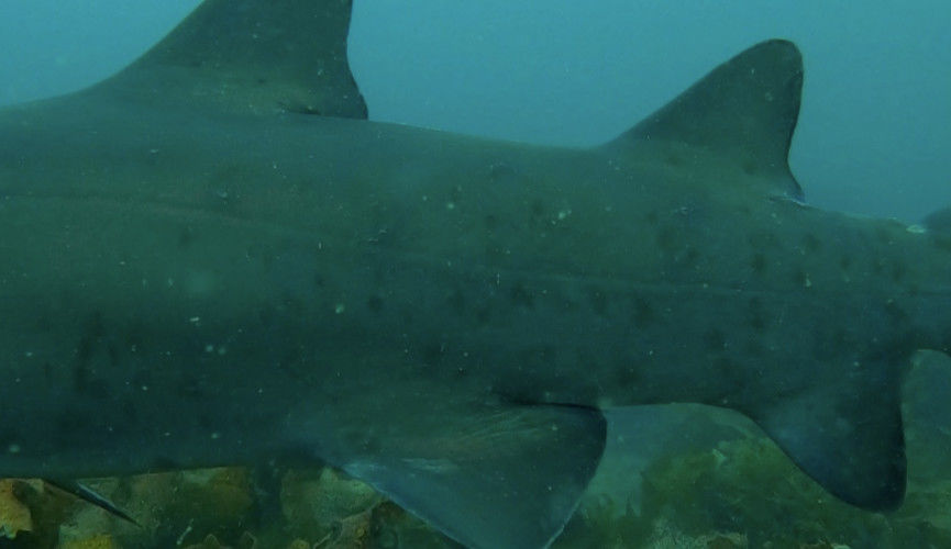 dfc1fa7f-9a71-45ab-bb48-6a5651399946