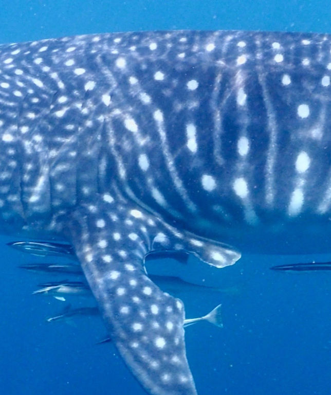 3e5c8688-5ad6-456e-bd31-12e3ed3a45bb