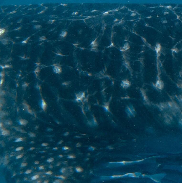 3da6b70d-b913-43ff-b83c-720cca9fafe2