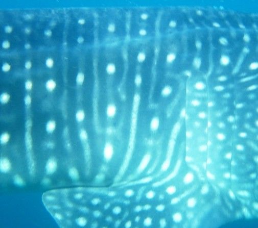 bfc8ec09-27ad-416b-bfa8-92ad711ee172