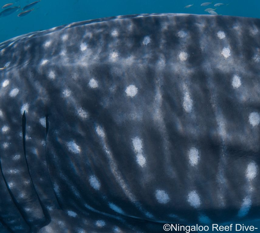 e8925100-a998-4643-babd-5f974879a82d