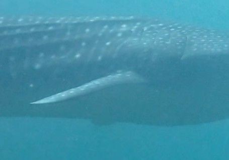 843cc9a2-32f0-45b0-bd45-ee4505310b5a