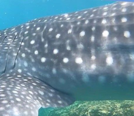 843cc9a2-32f0-45b0-bd45-ee4505310b5a