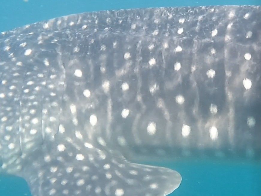 678e0789-71c7-4fd0-b85d-bb977d766bbf