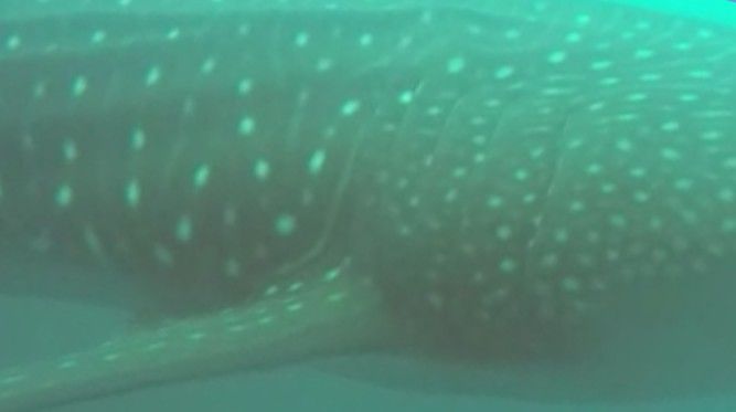 cb48a79d-c3fd-4ccb-b222-bbee6a168bcf