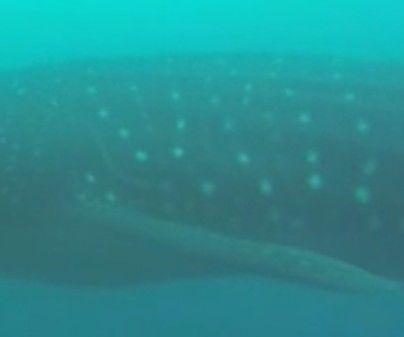 cb48a79d-c3fd-4ccb-b222-bbee6a168bcf