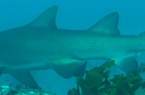 d9e28203-9511-405e-aa55-e29269440dff