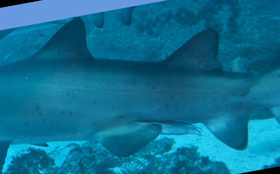 a61213e9-e9d4-49db-9f23-3432b701ccaf