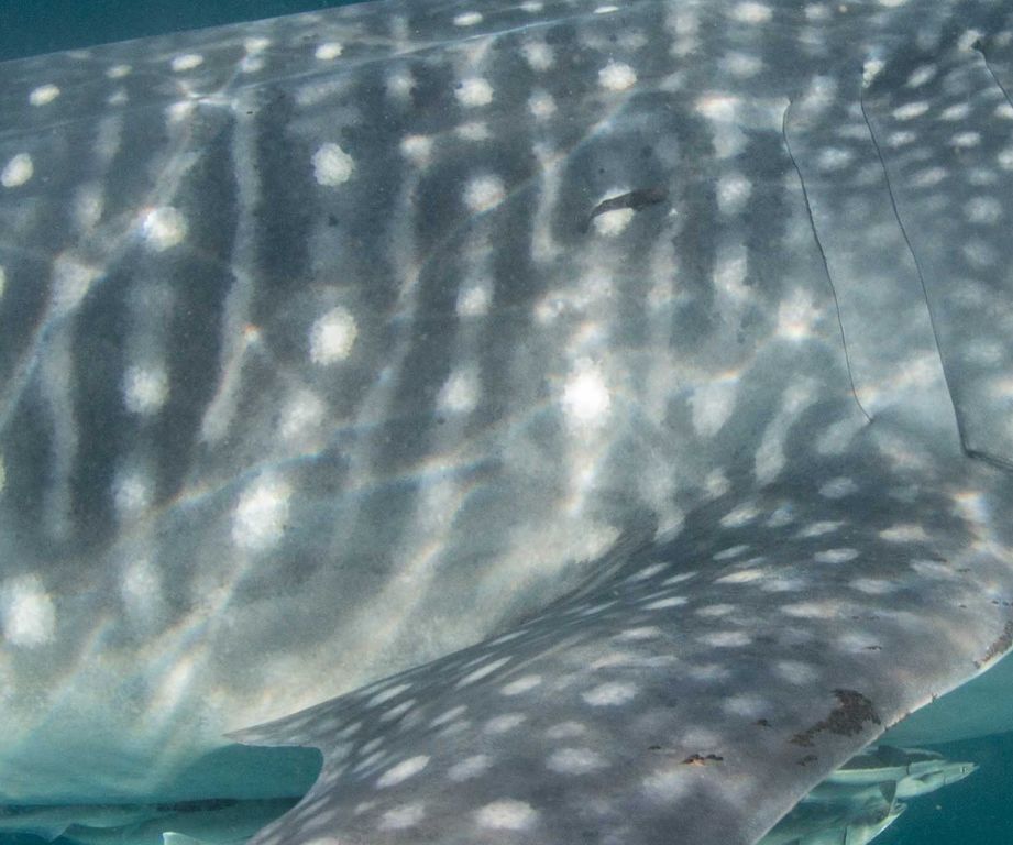 69b4958a-e819-4cac-8c8f-d7f413a5d9e5