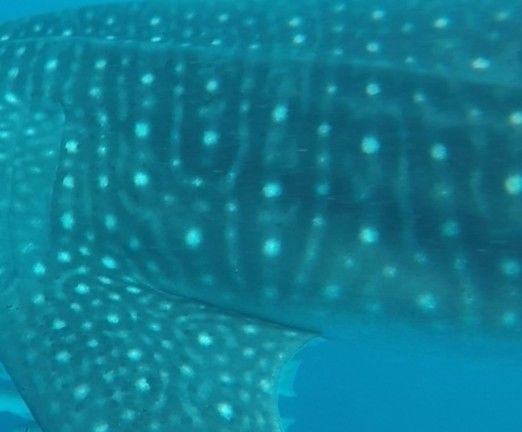 19261c1e-5581-41c5-87e5-3bcbaa70fb2b