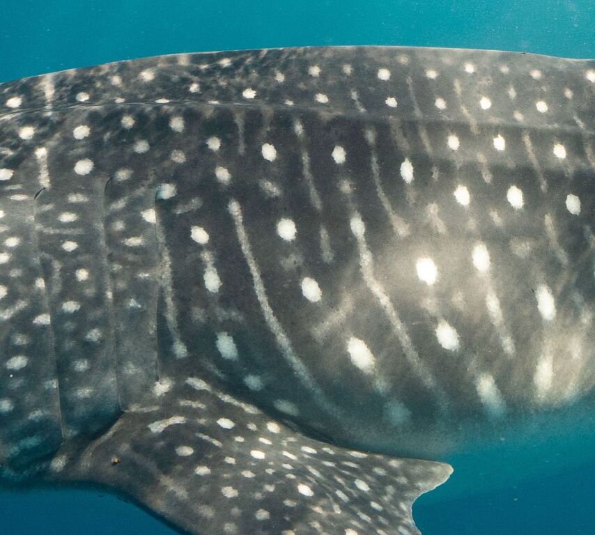 ccaf60c5-25db-42d3-b4d2-a2a362c046d3