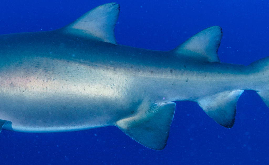 e0edde22-882f-4622-8f95-46882ceadcfe