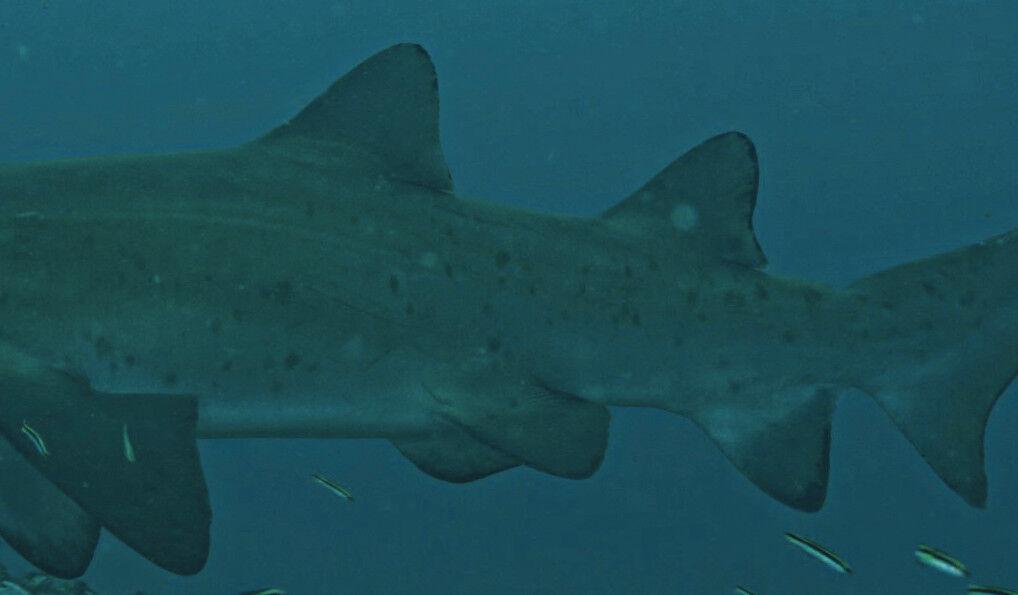 9fd57f43-284a-4a24-8248-27a8d6f8f877