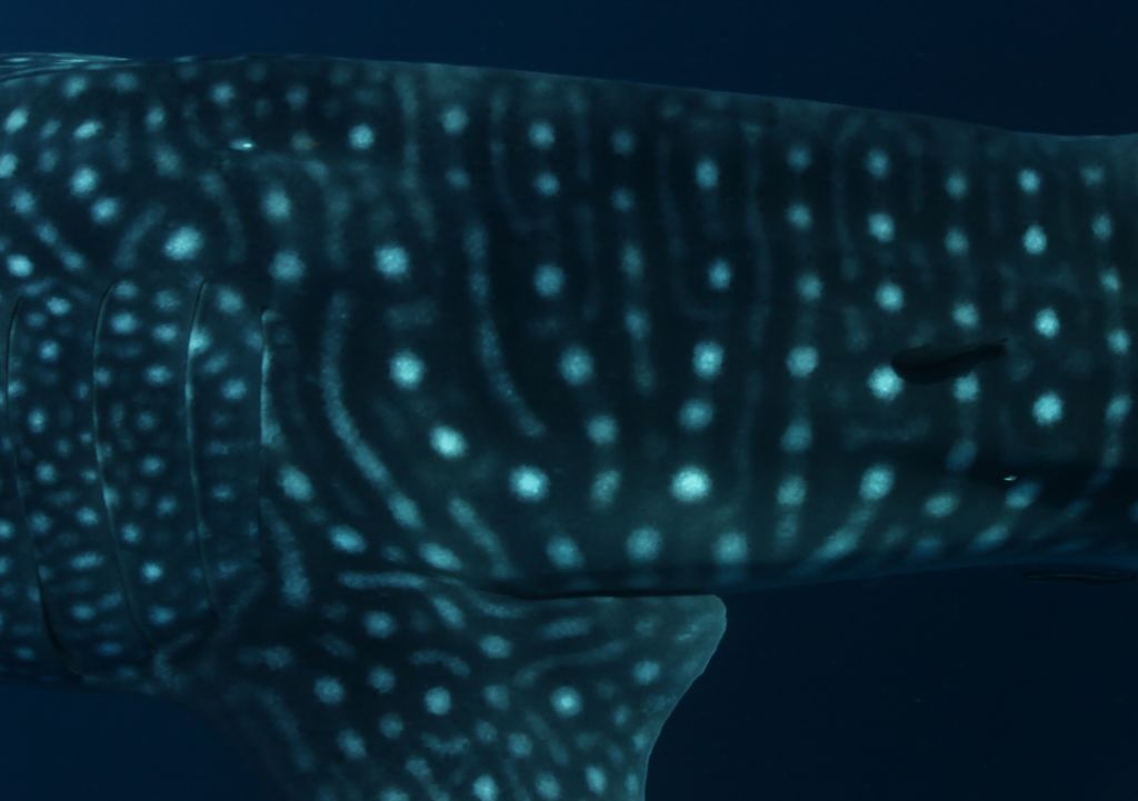 9e904590-3601-4d05-aee6-1660d96c4d90