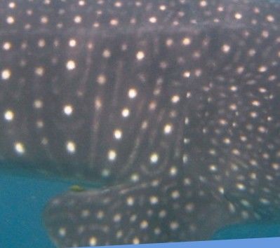 225f84d2-e142-4915-a9d5-8d08a88988ef