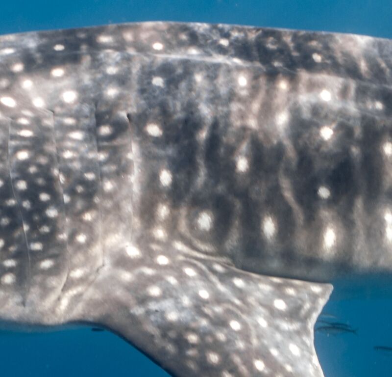 fd213d89-e27b-4087-8148-bac9b534f2cd