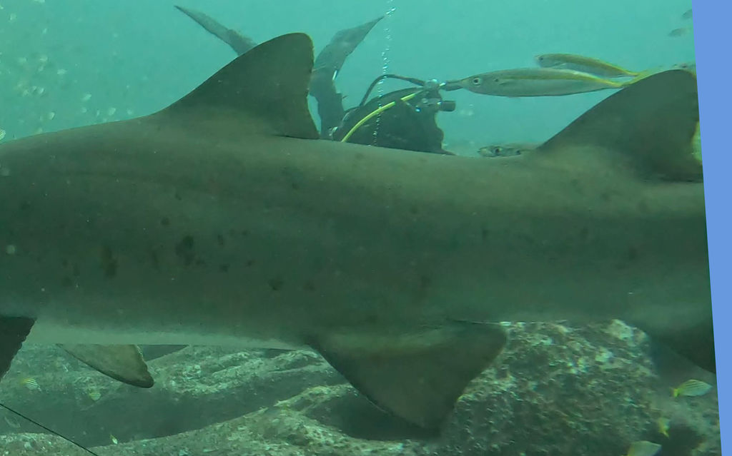 15d78db2-5ef9-4c3e-9023-1b981637b930