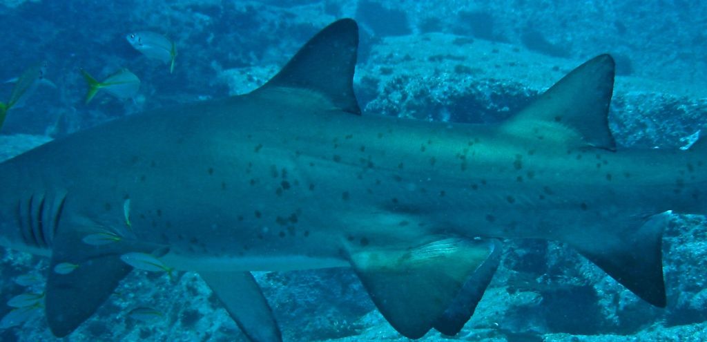 8a7d5b13-5bfb-4de1-8ad1-878b91a99292