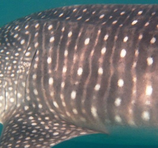 89ef886e-0545-4187-afb4-682d095778bb