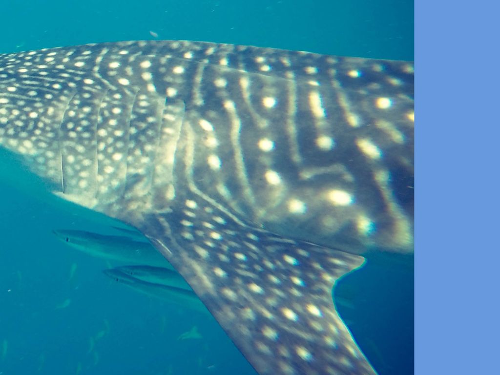 64c98d7e-bcd4-426e-af7f-cdcc0a9bf69d