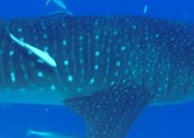 7c2d14e9-bf2f-4bc3-b21f-f029476188a6