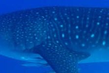 7c2d14e9-bf2f-4bc3-b21f-f029476188a6