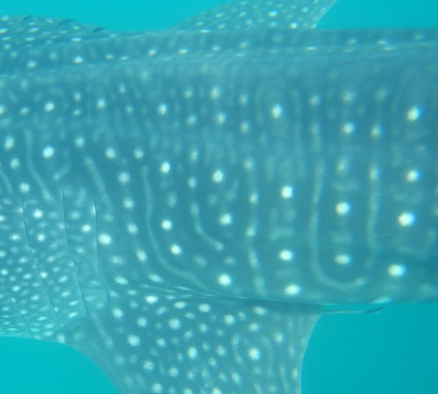 e6eee9fc-0a8f-4318-90cb-7d4eacc8ff67