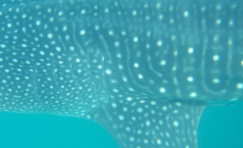 e6eee9fc-0a8f-4318-90cb-7d4eacc8ff67