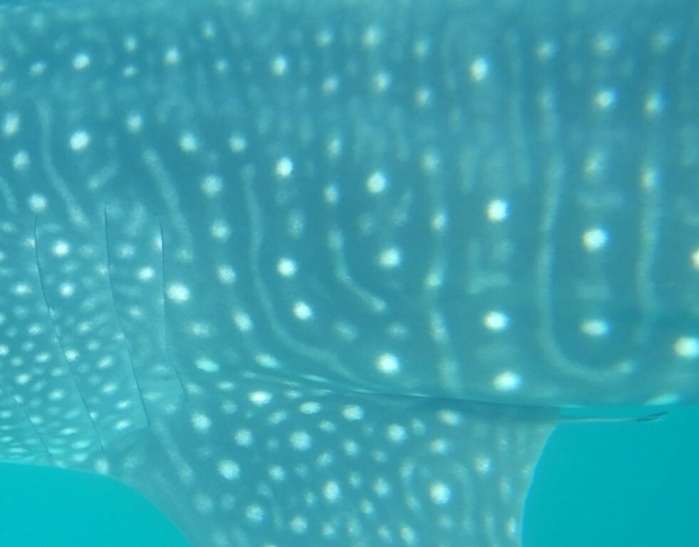 e6eee9fc-0a8f-4318-90cb-7d4eacc8ff67