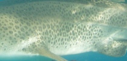 bb113dfa-abf0-467b-8efc-91c34b079db0