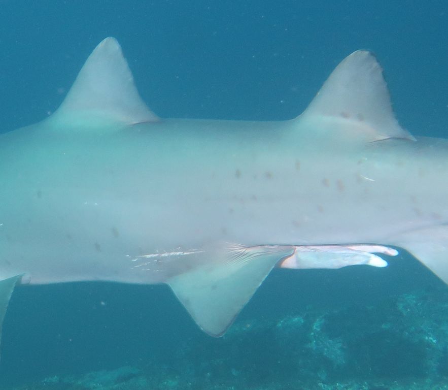 27a989b4-a209-4ff2-86f4-ee6f376c7763