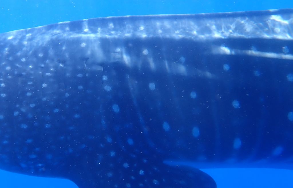 812c85b4-b586-48bb-bb6f-409704b6ac63