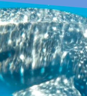 5008415e-2064-4ea2-9834-4063cbff3f14