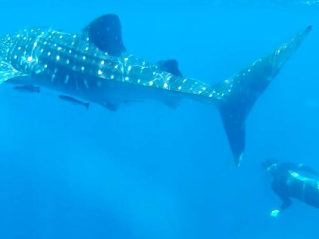 5008415e-2064-4ea2-9834-4063cbff3f14