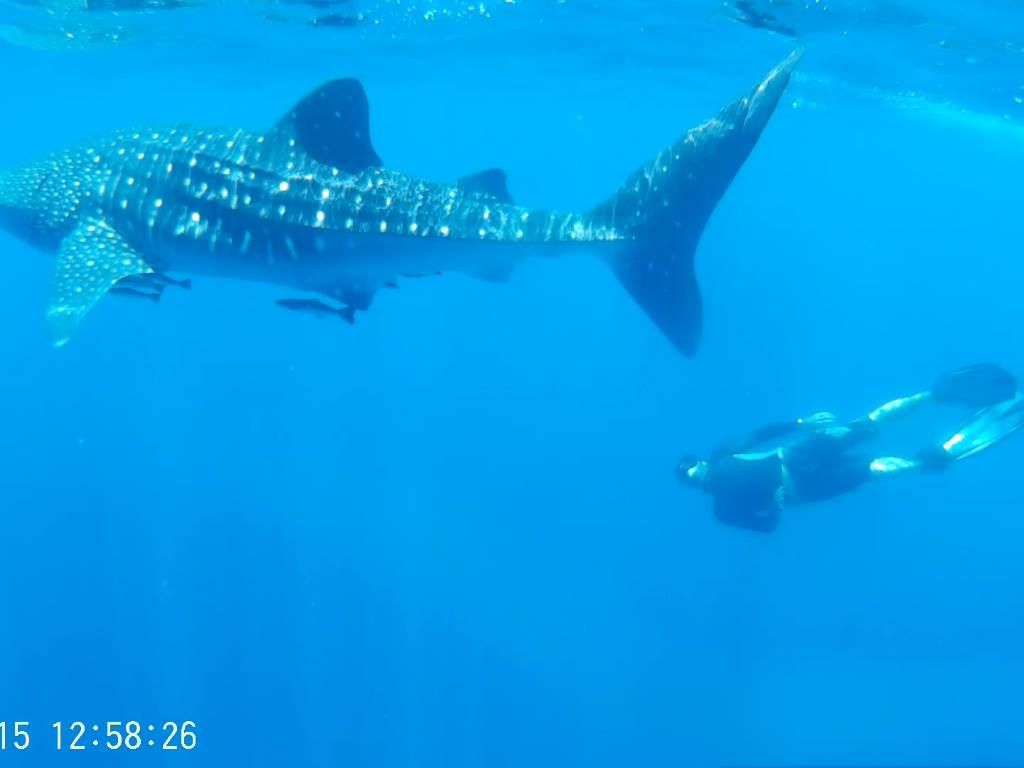 5008415e-2064-4ea2-9834-4063cbff3f14