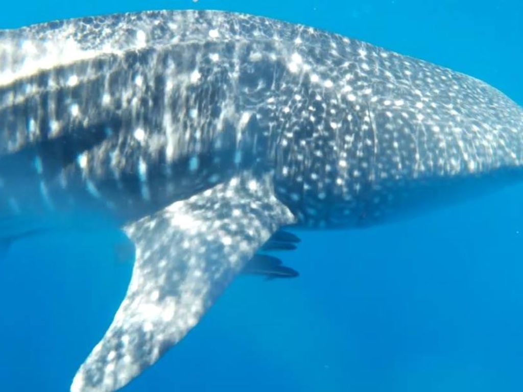 5008415e-2064-4ea2-9834-4063cbff3f14