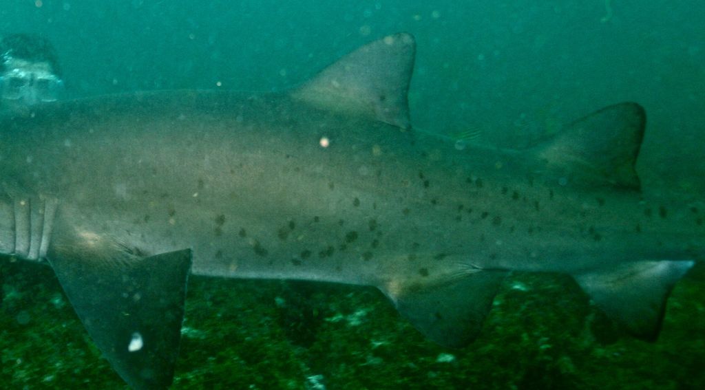 9bc91f09-9c4a-49d1-977b-ee7094f40d79